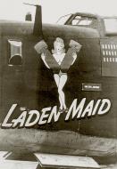 Asisbiz 42 52560 B 24H Liberator 8AF 466BG786BS U8M Laiden Maiden nose art left side England 01