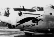 Asisbiz 42 95592 B 24J Liberator 8AF 466BG784BS T9U Black Cat nose art left side England 01