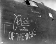 Asisbiz 41 11904 B 24D Liberator 5AF 90BG400BS Pride of the Yanks nose art left side 01