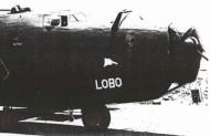 Asisbiz 42 40830 B 24D Liberator 5AF FEAF 90BG320BS Lobo lost New Guinea 1st Dec 1943 01