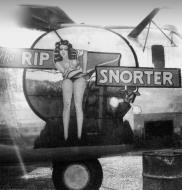 Asisbiz 42 73047 F 7A Liberator 5AF 6BG20BS Rip Snorter nose art right side 01