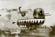 Asisbiz Consolidated B 24 Liberator 8AF 93BG nose art right side FRE3758