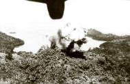 Asisbiz 43 3383 B 25D Mitchell 5AF 345BG501BS crashed above Dodinga on Halmahera Isl New Guinea 15th Aug 1944 01