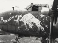 Asisbiz B 25J Mitchell 7AF 42BG Bitemontheas nose art left side Palawan 23rd July 1945 01