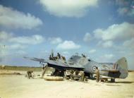 Asisbiz Beaufighter VIF RAF 252Sqn White N at Tunisia Jun 1943 IWM TR816