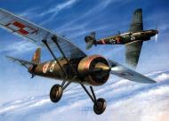 Asisbiz Messerschmitt Bf 109C 2.JGr102 Red 2 over Poland artwork by W Robel 0A