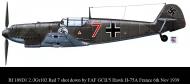 Asisbiz Messerschmitt Bf 109D 2.JGr102 Red 7 shot down by FAF GCII.5 Hawk H 75A France 6th Nov 1939 0A