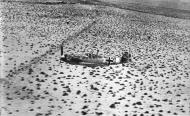 Asisbiz Messerschmitt Bf 109E7Trop 1.JG27 White 3 on low level patrol over Libya Feb 1942 01