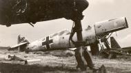 Asisbiz Messerschmitt Bf 109E4Trop 4.JG27 White 9 with F4 cowling Derna Nov 1942 ebay 01