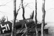 Asisbiz Messerschmitt Bf 109E1 1.JG77 White 11 semi hidden along a small forest 1940 01