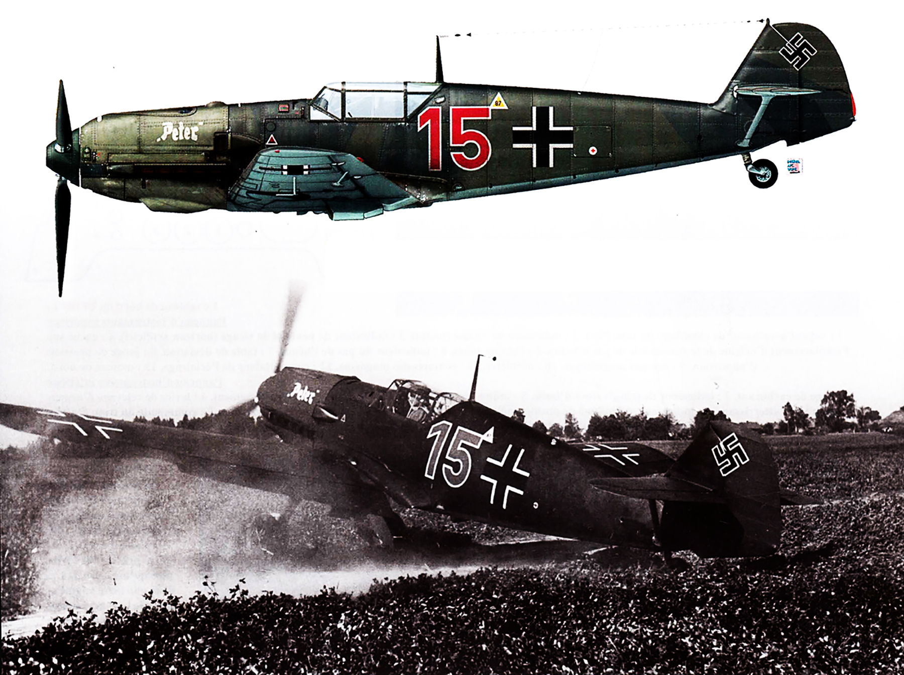 Messerschmitt-Bf-109E1-2.(J)LG2-Red-15-named-Peter-Lottin-Poland-Sept-1939-01.jpg