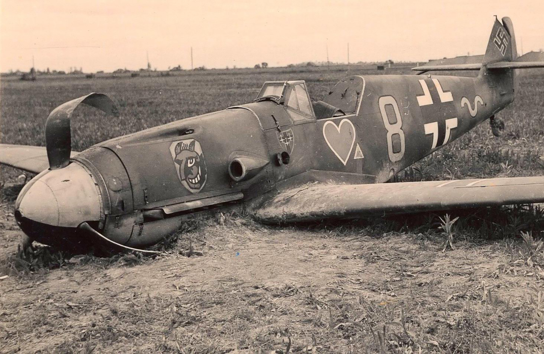 Севшем 54. Air Battles at North Africa bf-109 shot down artpaints.