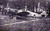 Asisbiz Messerschmitt Bf 109G14 Erla 2.JG101 Black 316 WNr 464221 Bad Worishofen May 1945 ebay1