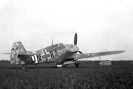 Asisbiz Messerschmitt Bf 109G6 JG101 Stkz DN+KX WNr 15352 Pyrenees France 1943 01a