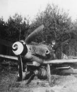 Asisbiz Messerschmitt Bf 109G14ASR3 Erla 7.JG11 Theo Nau Yellow 18 Dec 1944 02