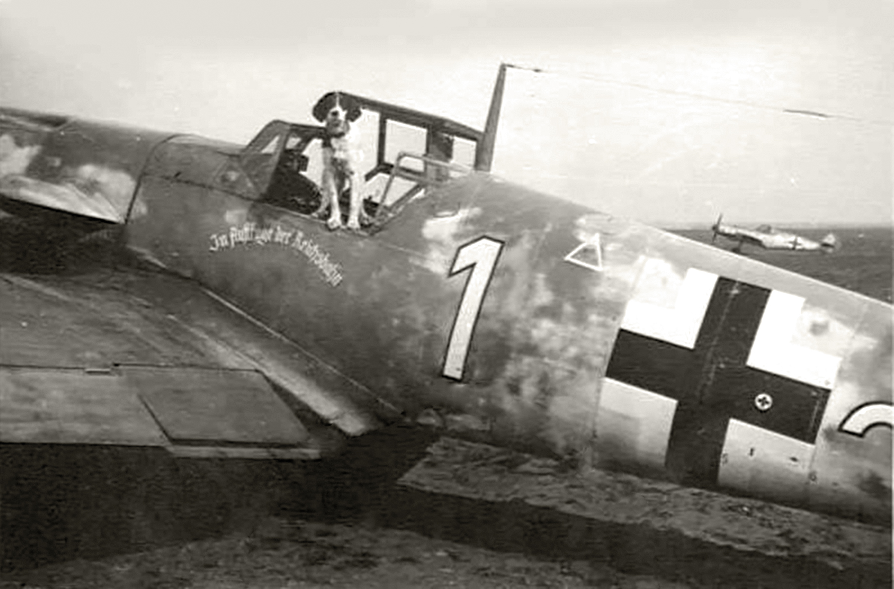 Asisbiz Messerschmitt Bf 109G2 9.JG54 Yellow 1 Waldemar Hein Wubke ...
