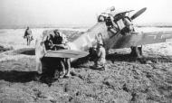 Asisbiz Messerschmitt Bf 109G4Trop 2.NAG14 Black 13 captured by 1Sqn SAAF at Gerbini Sicily July 1943 01