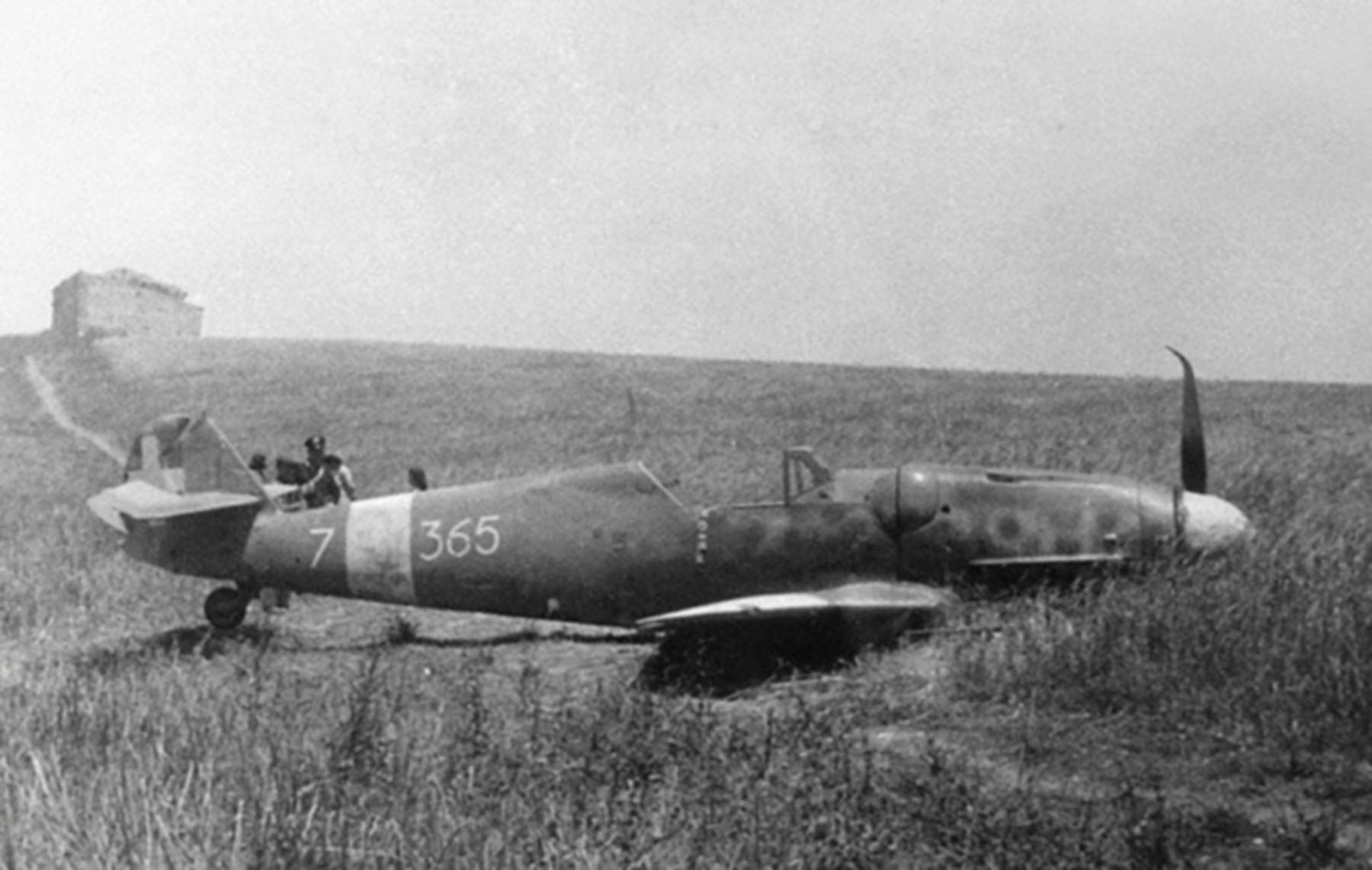 Asisbiz Messerschmitt Bf 109g6r6trop Ra 150gr365sqn White 365 7 Eugenio Lecchi Sicily Italy 28th May 1943 01