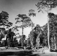 Asisbiz Vought F4U 1A Corsair VF 17 Bougainville Feb 1944 01