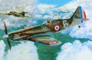 Asisbiz French Airforce Dewoitine D 520 Escadrille GC III.6 White 6 No277 Battle of France May 1940 0A