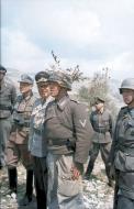 Asisbiz Albert Kesselring inspects the front near Monte Cassino in April 1944 Bund