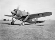 Asisbiz Brewster Buffalo MkI Fleet Air Arm August 1940 01