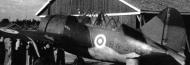 Asisbiz Brewster Buffalo MkI FAF BW384 Finland 1944 01