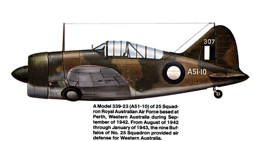 Asisbiz Artwork Brewster Buffalo Mki Raaf 25sqn A51 10 Perth Australia 1942 0a