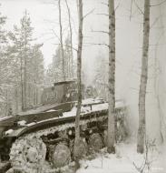 Asisbiz Finnish and German Panzer II forces advance along the Kiestinki road towards Jelettijarvi 5th May 1942 86056