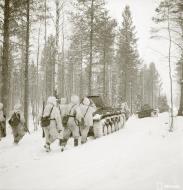 Asisbiz Finnish and German Panzer II forces advance along the Kiestinki road towards Jelettijarvi 5th May 1942 86060