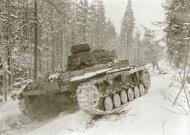 Asisbiz Finnish and German Panzer III forces advance along the Kiestinki road towards Jelettijarvi 5th May 1942 86090