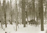 Asisbiz Finnish and German forces advance along the Kiestinki road towards Jelettijarvi 5th May 1942 86091