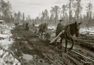 Asisbiz Finnish and German forces advance along the Kiestinki road towards Louhen 7th May 1942 87578