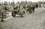 Asisbiz Finnish army moving forward Muolaa 28th Aug 1941 42349