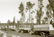 Asisbiz Finnish army supply trucks held up by the winter thaw and muddy conditions Rukajarvi 10th Apr 1942 85692