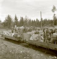Asisbiz Food supplies are loaded onto the narrow gauge railway network at Syvari 13th Aug 1942 103575