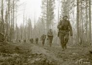 Asisbiz German Wehrmacht Gebirgsjagers during their attack near Louhi heading to Jelettijarvi 15th May 1942 88779
