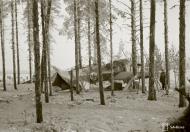 Asisbiz Fokker D XXI FAF FR1xx at Vienan Karelia Tiiksjarvi Airport 15th Dec 1941 69079