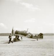 Asisbiz Fokker D XXI FAF LeLv14 FR109 Lt T Vuorinen celebrate his 100 flight at Rukajarven 11th Aug 1942 104734