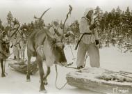 Asisbiz Finnish forcs moving forward with their reindeer Janiskoski area Winter War 20th Feb 1940 5142