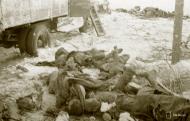 Asisbiz Soviet forces were decimated around Tenhamonmaki area West Lemetti Winter War 2nd Feb 1940 a 645