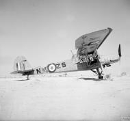 Asisbiz Fieseler Fi 156C3Trop Stork Stkz NM+ZS WNr 5620 captured and used by Air Vice Marshal A Coningham in Egypt IWM CM2950