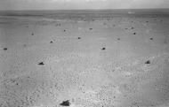 Asisbiz Operation Crusader British armoured cars cross a wide expanse of barren desert IWM CM2202