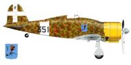 Asisbiz Artwork Fiat G50 Freccia 155 Gruppo 351 Squadriglia 351 12 MM6395 Derna Libya July 1941 0A