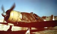 Asisbiz Fiat G50 Freccia 20 Gruppo 352 Squadriglia 352 3 Lybia 1941 03