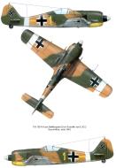 Asisbiz Focke Wulf Fw 190A4 6.JG2 Yellow 1 Erich Rudorffer Tunisia 1943 0C