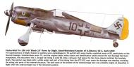 Asisbiz Focke Wulf Fw 190A8 6.JG4 Black 10 Aksel Meinhard Kessler WNr 961076 Sweden 1945 0A