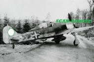 Asisbiz Focke Wulf Fw 190A9 II(Sturm).JG4 Hans Martin Markhoff Delitzsch or Mortitz Mar 1945 ebay1
