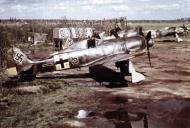 Asisbiz Focke Wulf Fw 190A5 5.JG54 (B5+ ) Stotz 1943 01