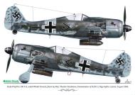 Asisbiz Focke Wulf Fw 190F8 Stab II.SG2 Theodor Nordmann Riga Spilve Latvia 1944 0A